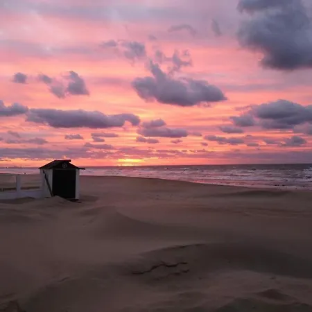 By St-andre Dunes With Sea View Daire Koksijde