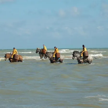 By St-andre Dunes With Sea View * Koksijde