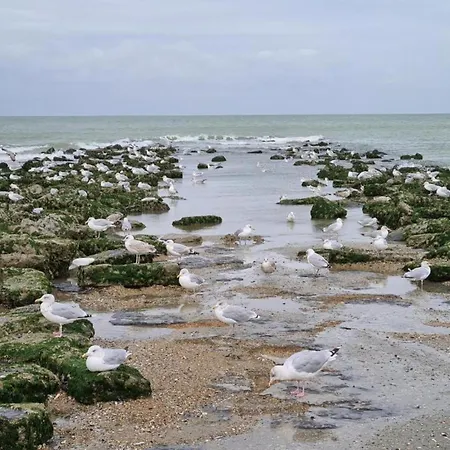 By St-andre Dunes With Sea View * Koksijde