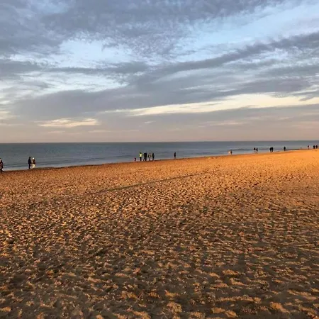 By St-andre Dunes With Sea View Daire Koksijde