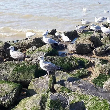 By St-andre Dunes With Sea View * Koksijde