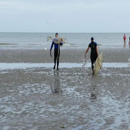 By St-andre Dunes With Sea View * Koksijde