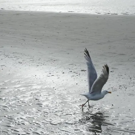 By St-andre Dunes With Sea View Koksijde