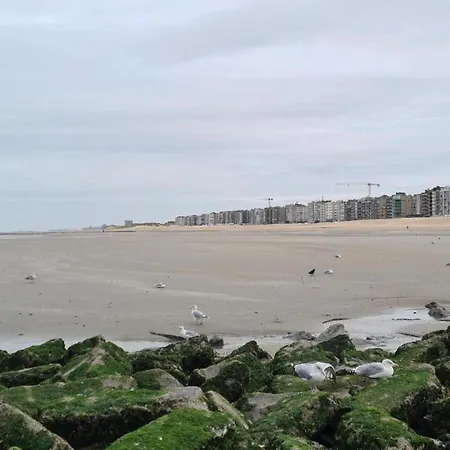 Vitalo 101 Near The Center In Apartment Koksijde